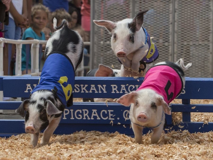 Tréning na olympiádu
