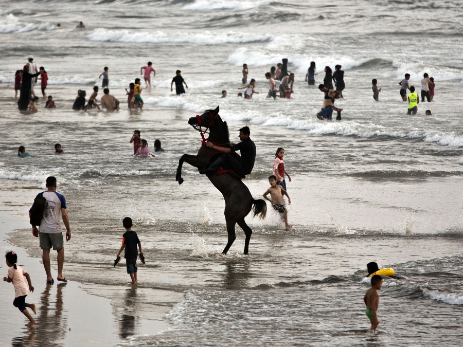 Po nábreží koník beží