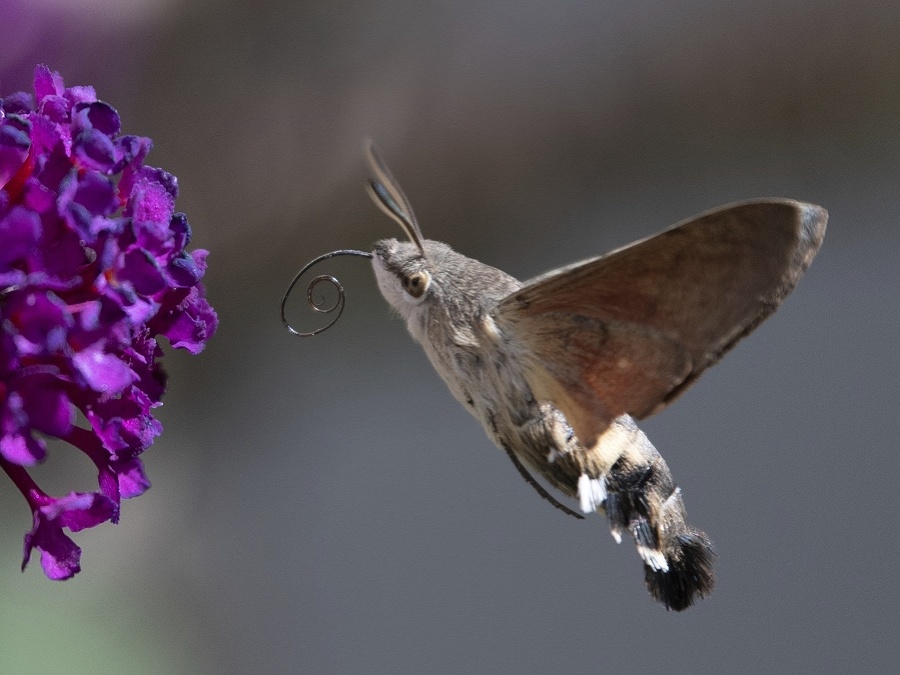 Príroda je nádherná