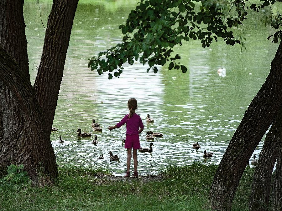 Zbohom, čarokrásne leto