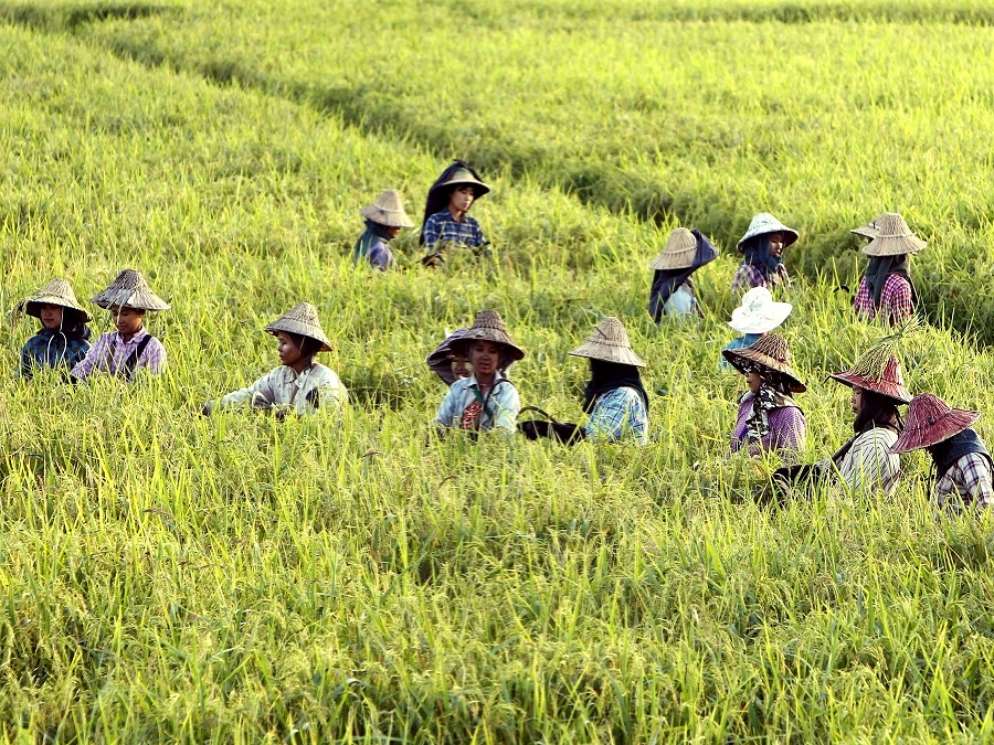 Remeslo má zlaté dno