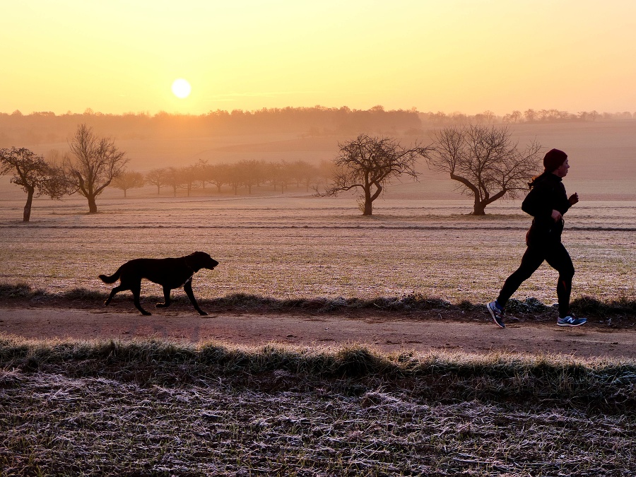 Beh s najlepším priateľom