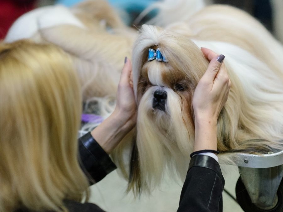 Musí to byť dokonalé