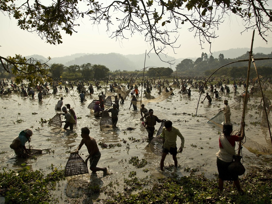 Už máš svoju rybu?