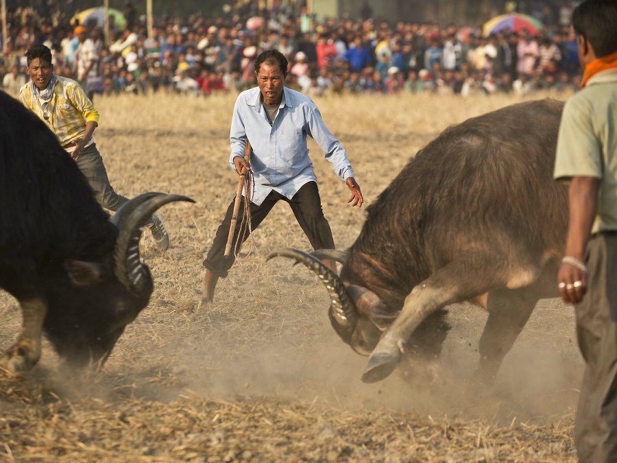 Tak, kde je ten rozzúrený býk?