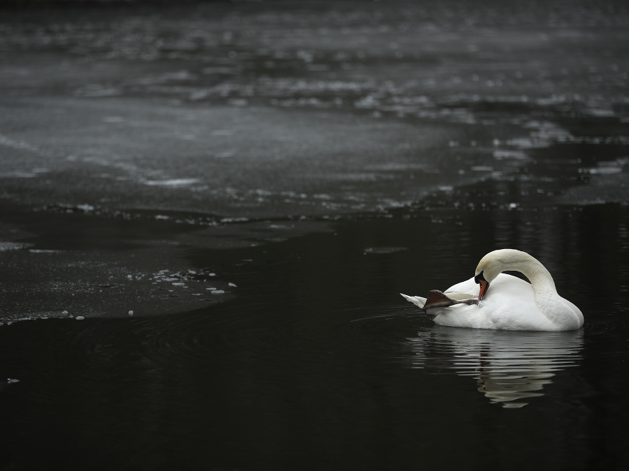 A predsa mi nie je zima!