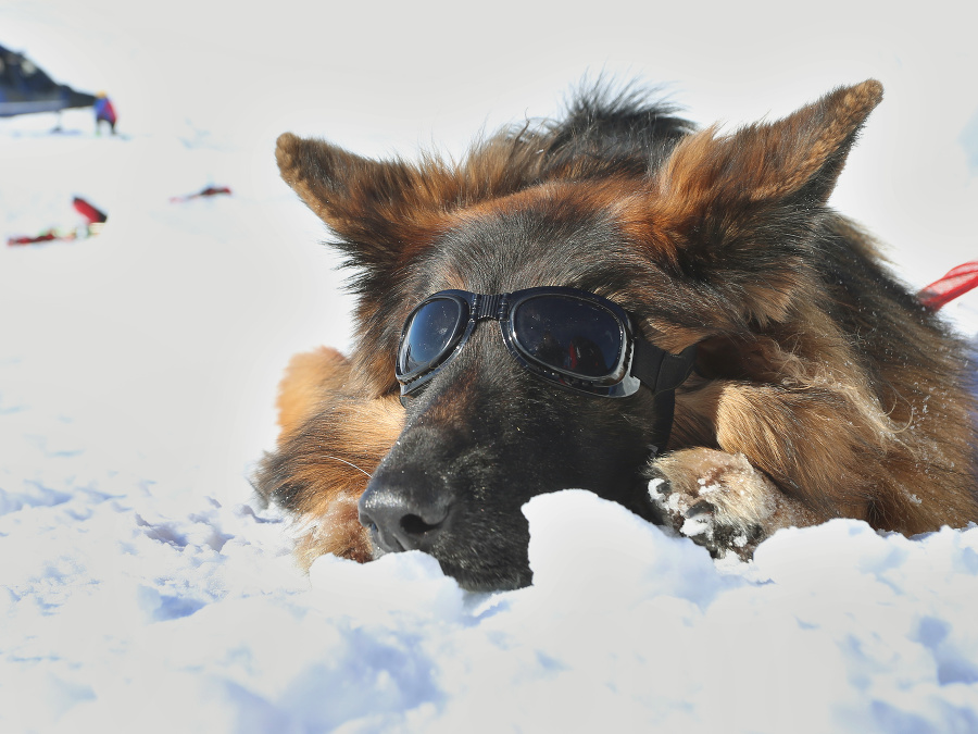 A už mi slniečko neublíži!