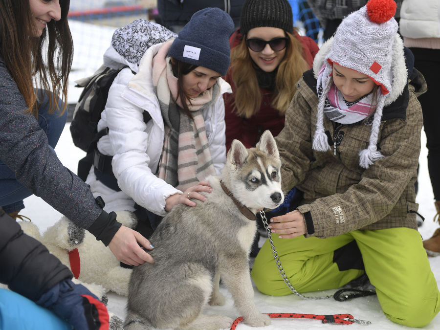 Ňuňu, aký si rozkošný! Pohladíme ťa, dobre? 