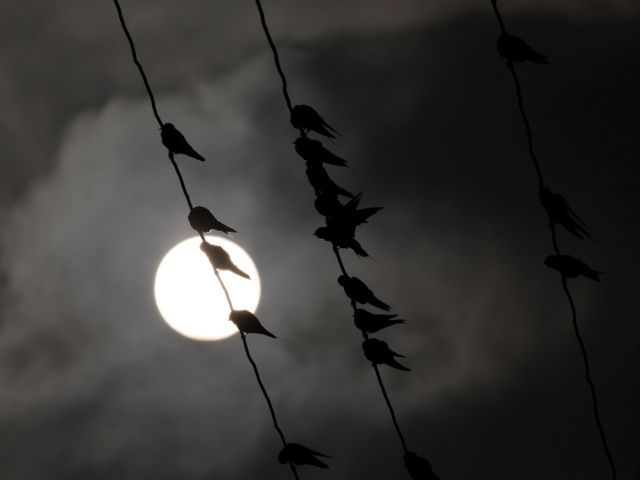 Že nočná fotografia s mesiacom? Ale kdeže