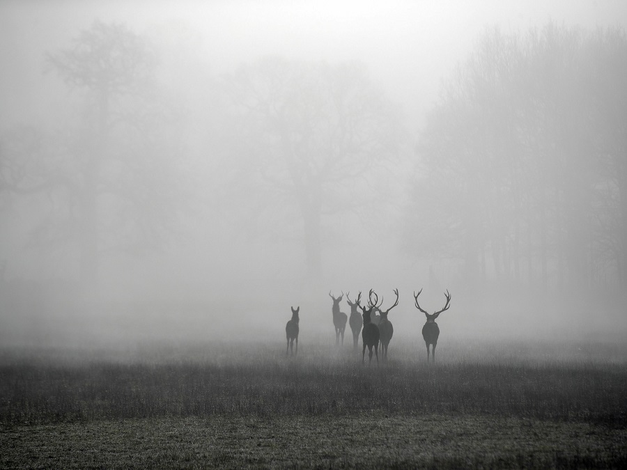 Chladná, no čarovná príroda