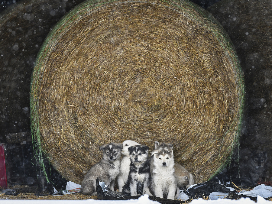 Schúlení pred zimou