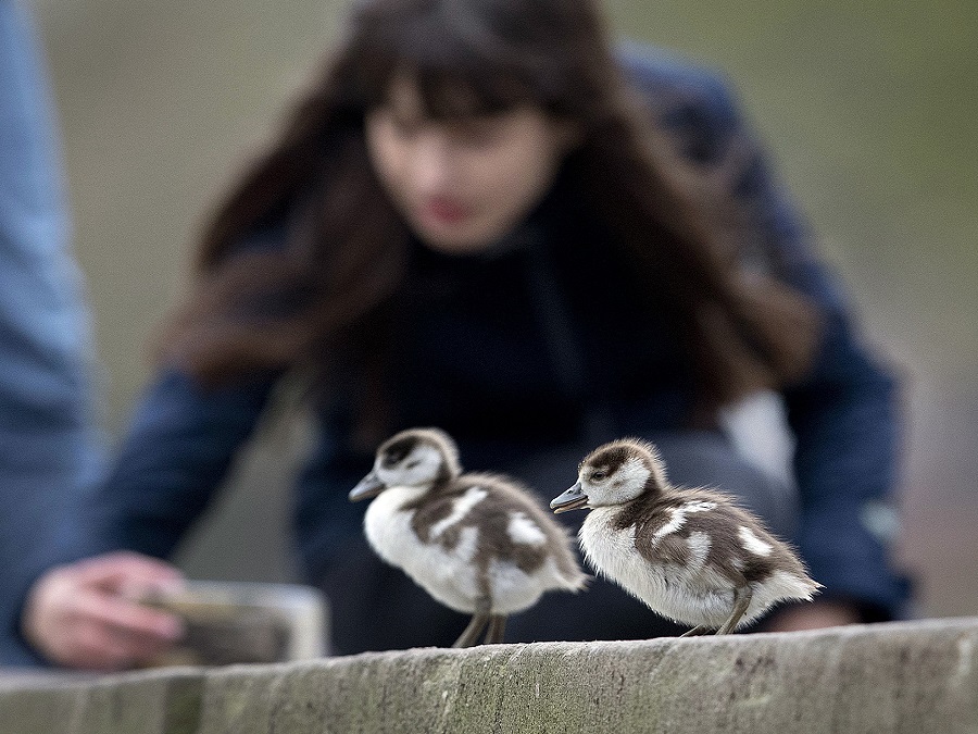 Stredobod pozornosti