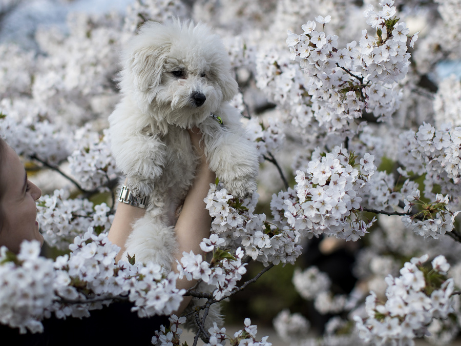 Maskovanie nie je žiaden problém