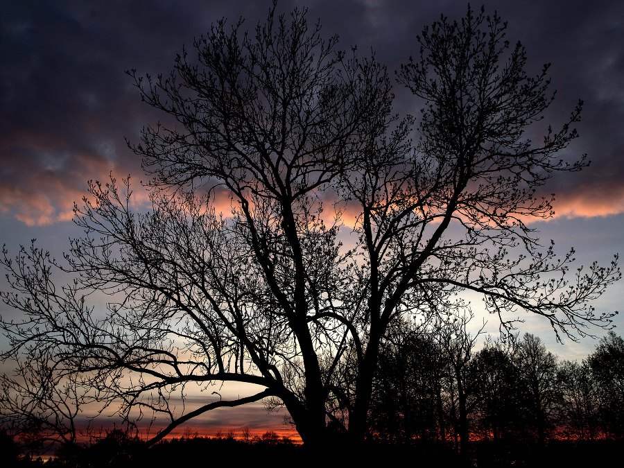 Slnko sa ukladá na spánok.