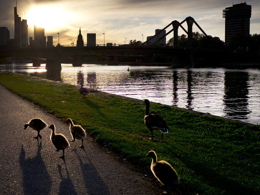 Prechádzka pri západe slnka