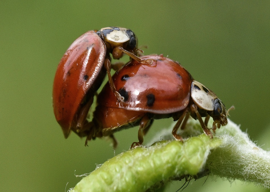 Láska je všade okolo nás