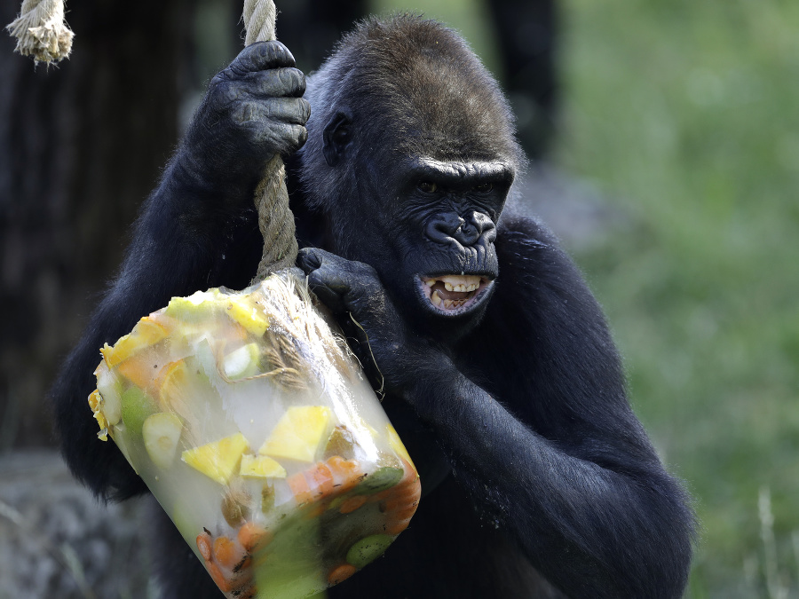 To je moja maškrta!