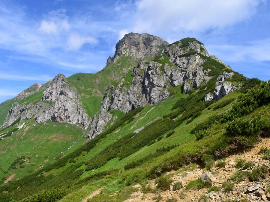 Čaro matky prírody