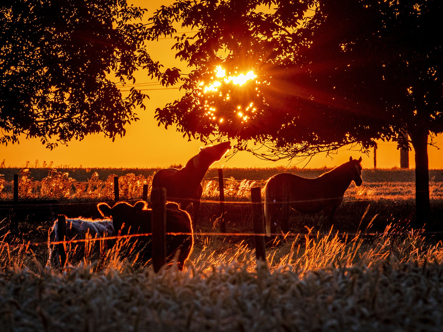 Slnko sa prebúdza do krásneho dňa