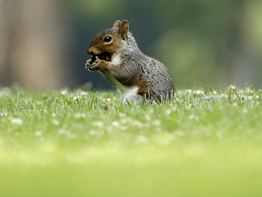 Veľký svet malými očami