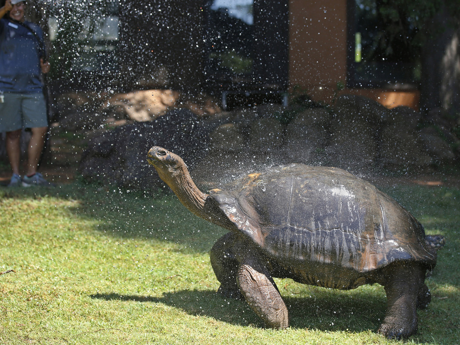Sprcha je skvelý nápad! 