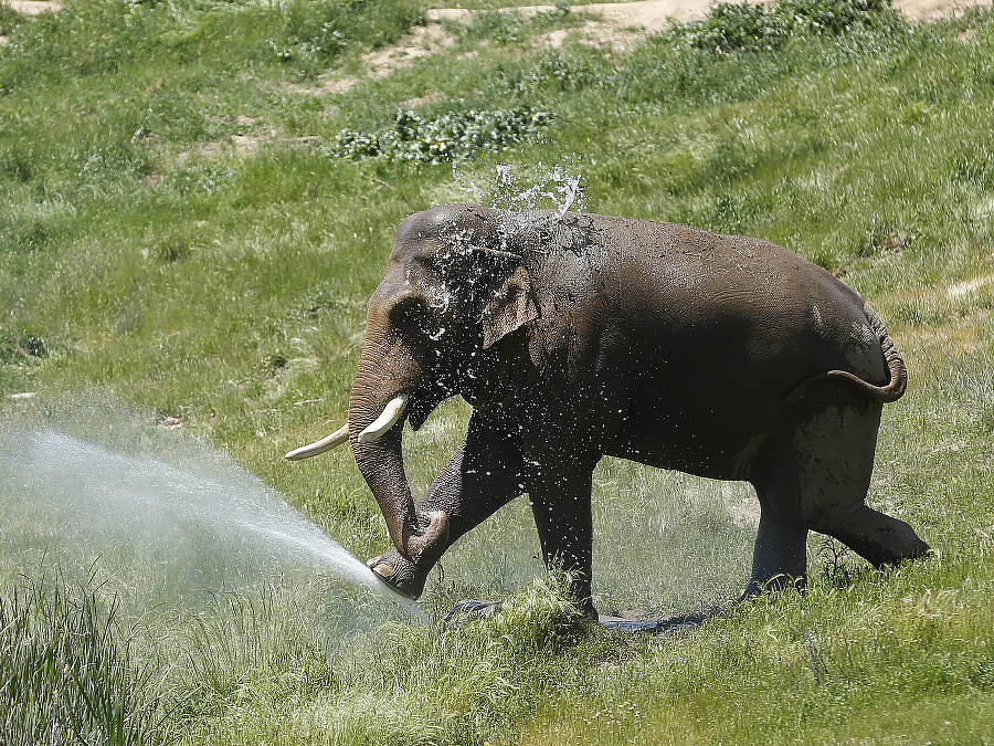Teraz mi už je dobre
