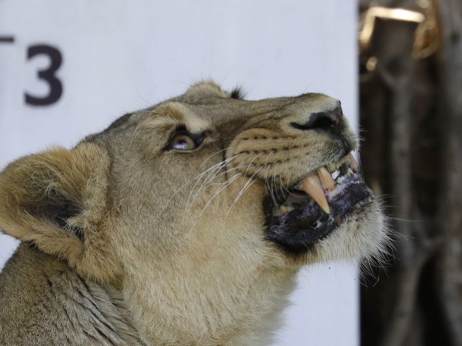 Nechajte ma na pokoji!