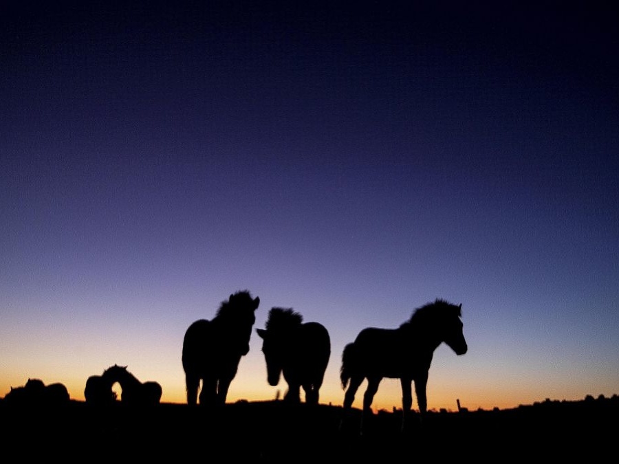Pred nami je krásny deň