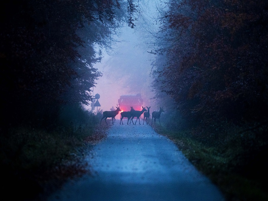 Ráno dávajte pozor