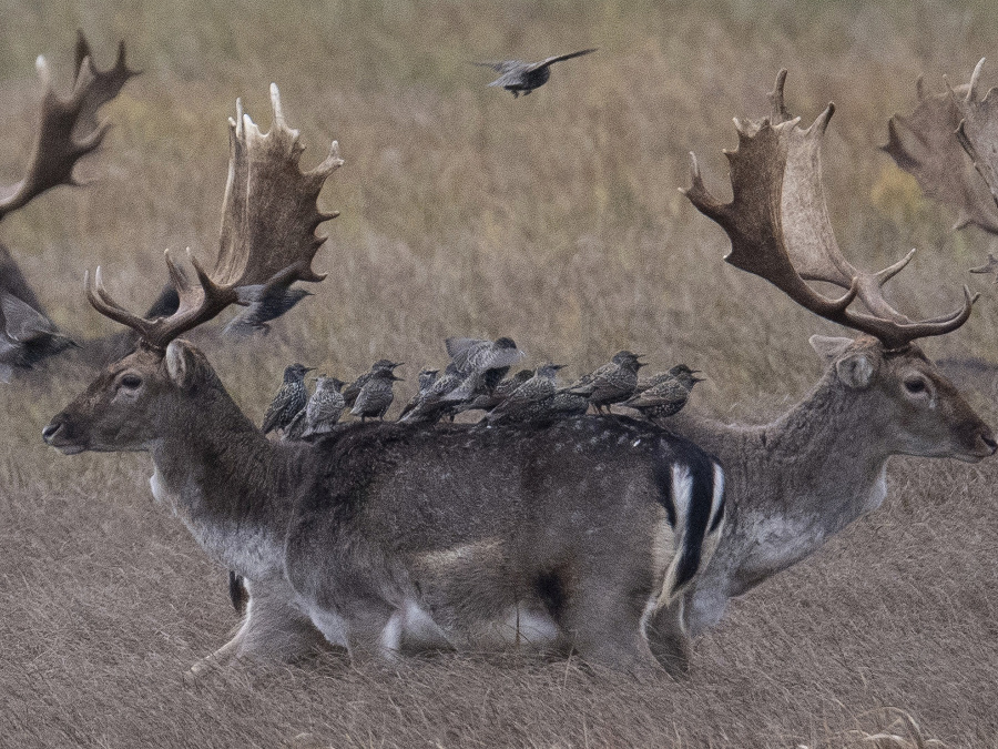 Krásna súhra prírody