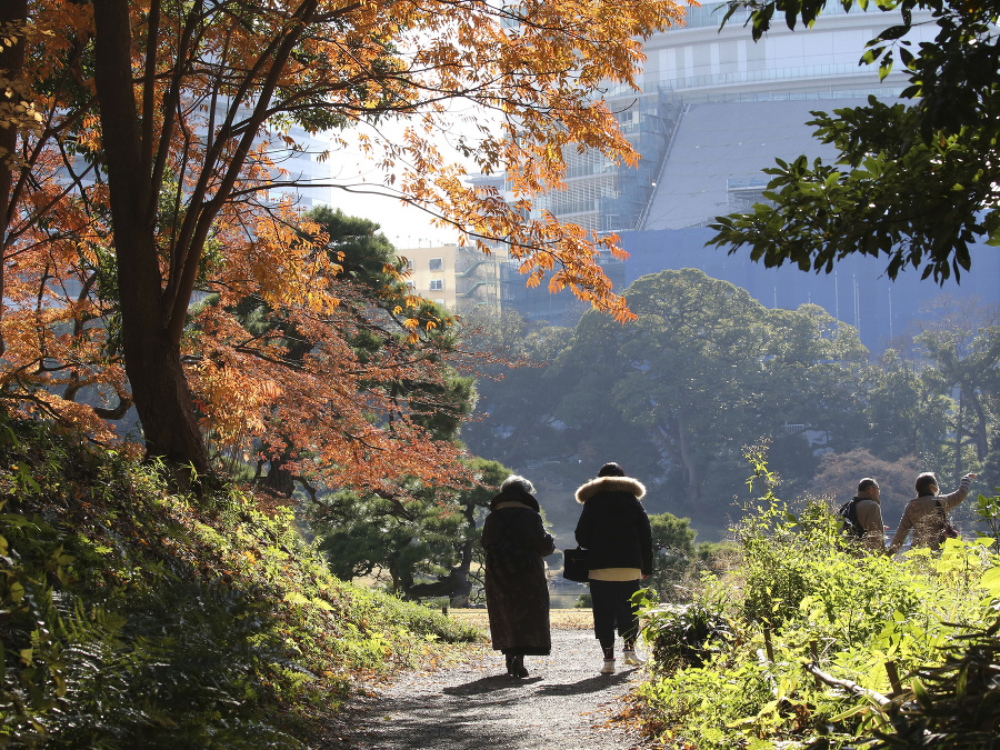 Len tak si vyvetrať hlavu