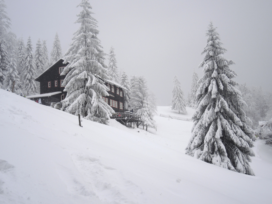 Príroda sa nahodila do biela