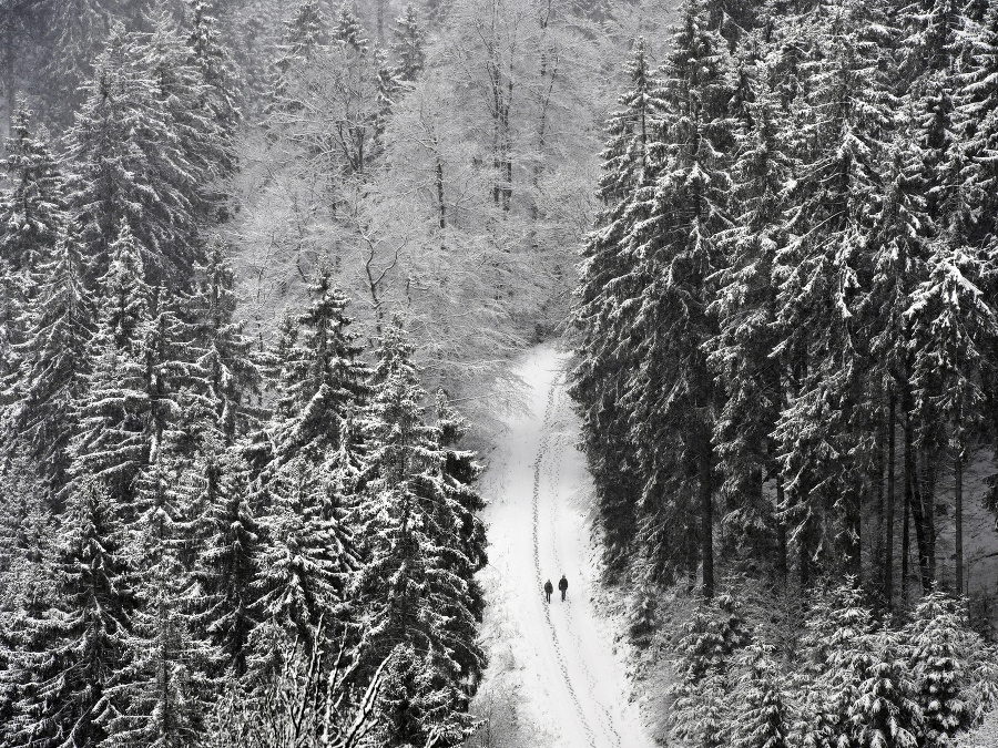 Takúto zimu chceme!