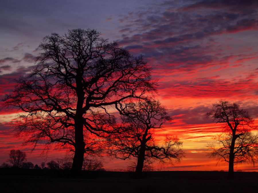 Obloha sa pýši farbami 