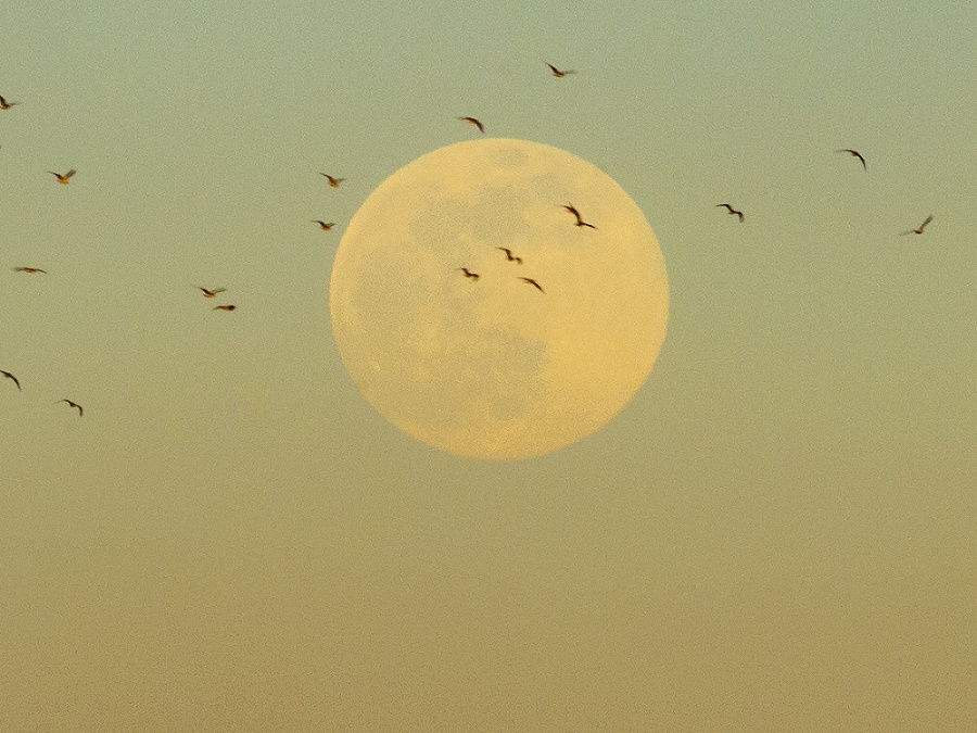 Supermesiac roka 2020