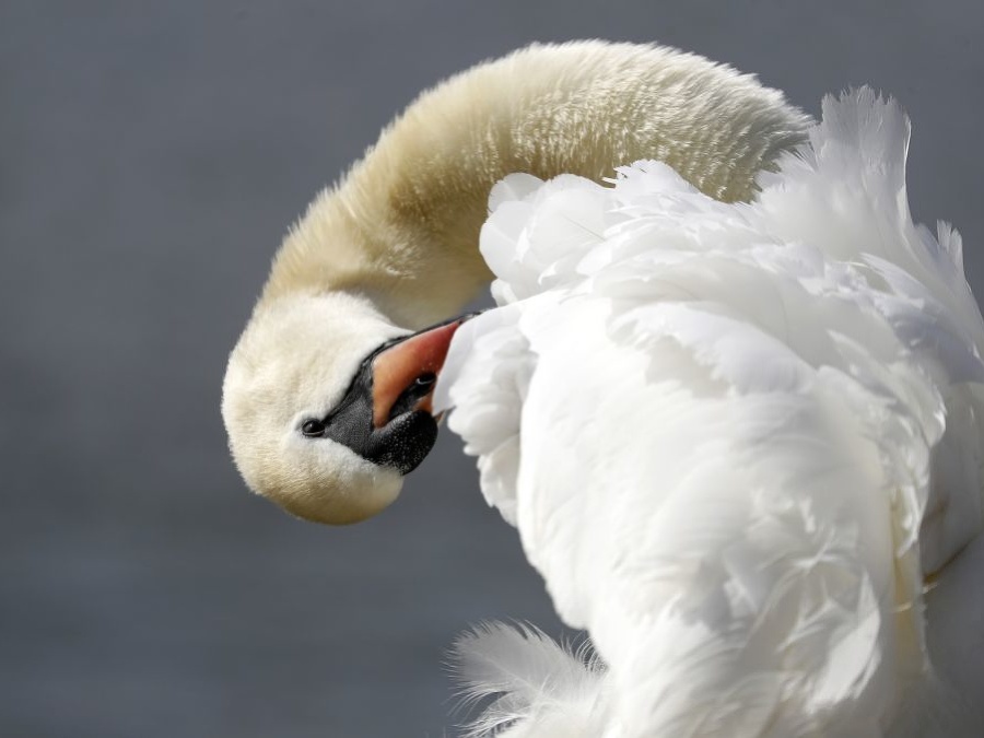 Ranná hygiena musí byť  