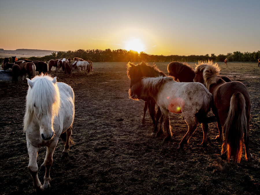 Vítanie nového dňa