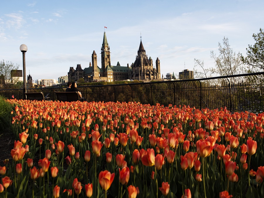 Keď svet hýri farbami