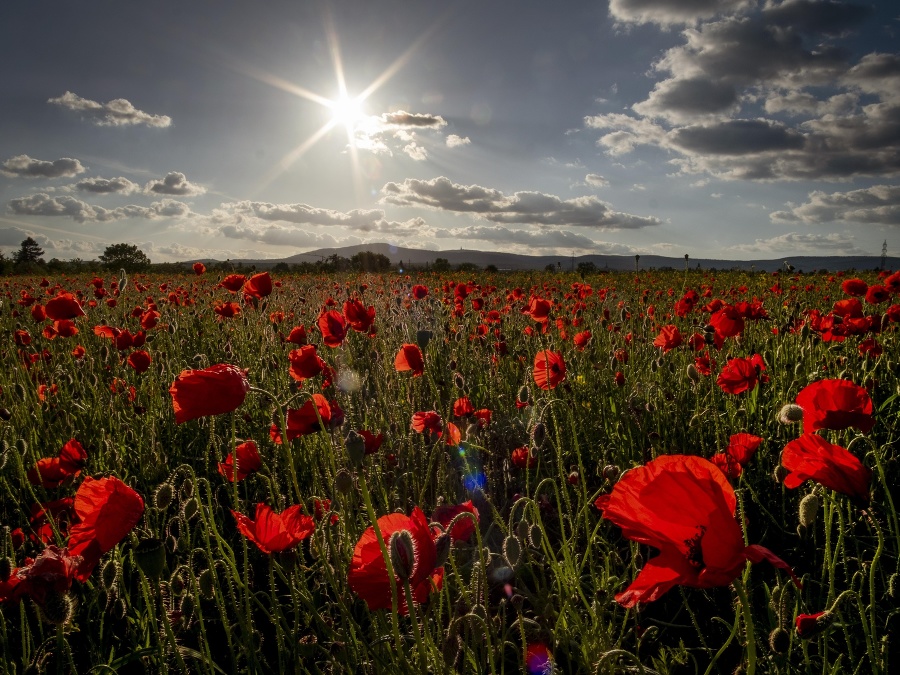 Výhľad, ktorý pohladí dušu