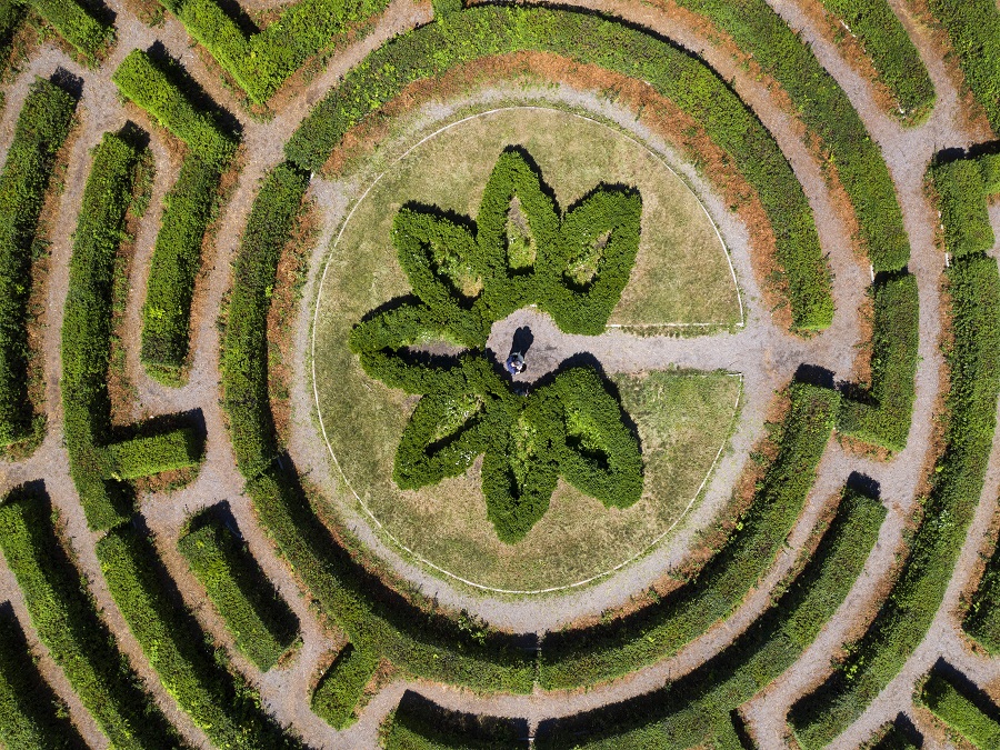 Zamotaní v labyrinte lásky