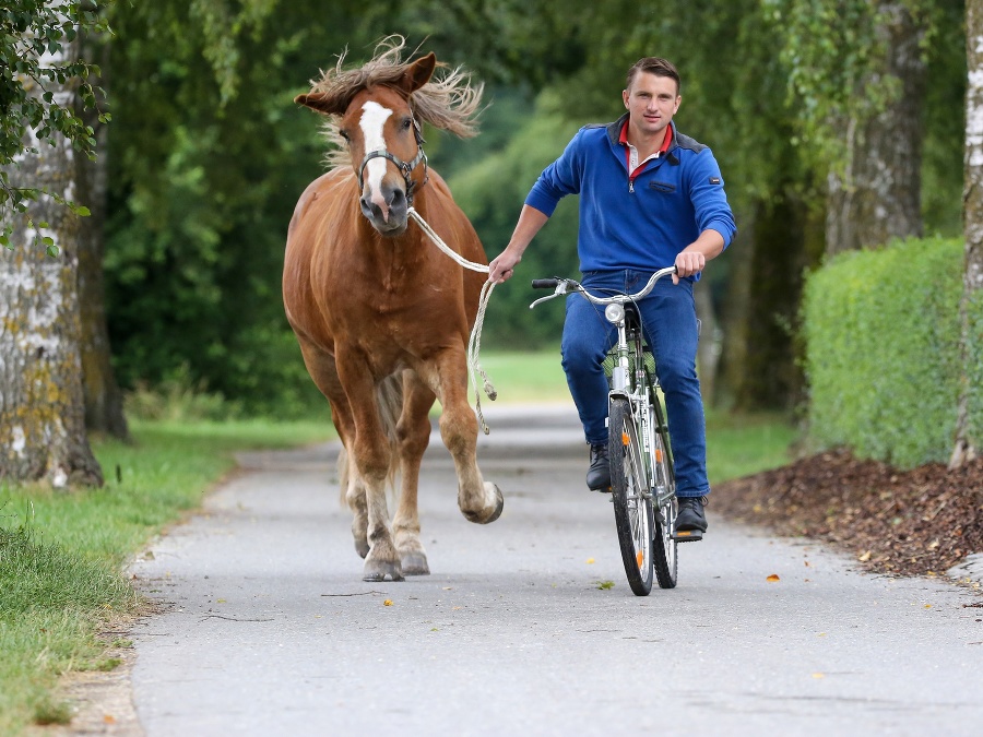 Kto bude doma prvý?