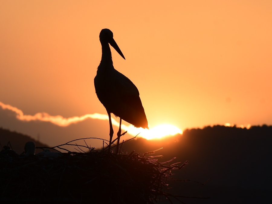 To bude krásny deň! 