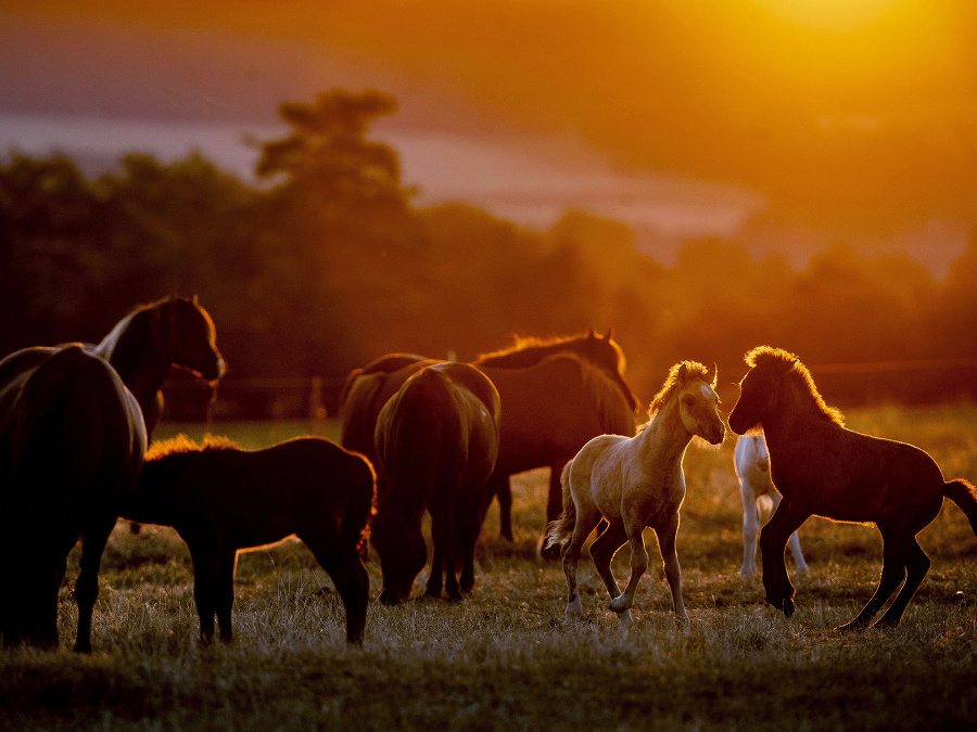 Poďme si užiť slniečko!
