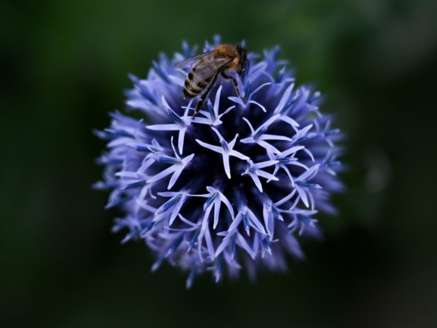 Večerné zbližovanie