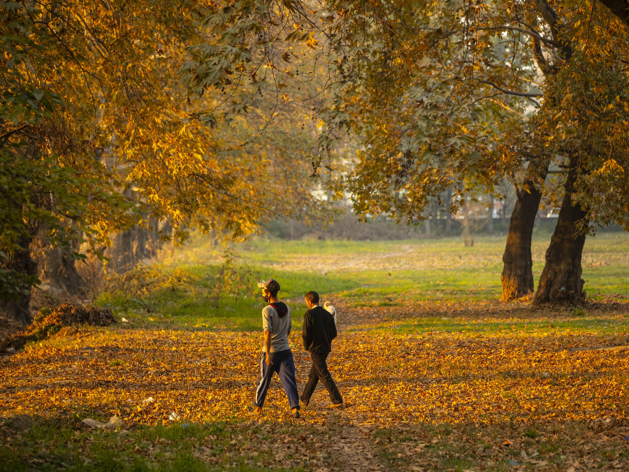 Jesenná prechádzka