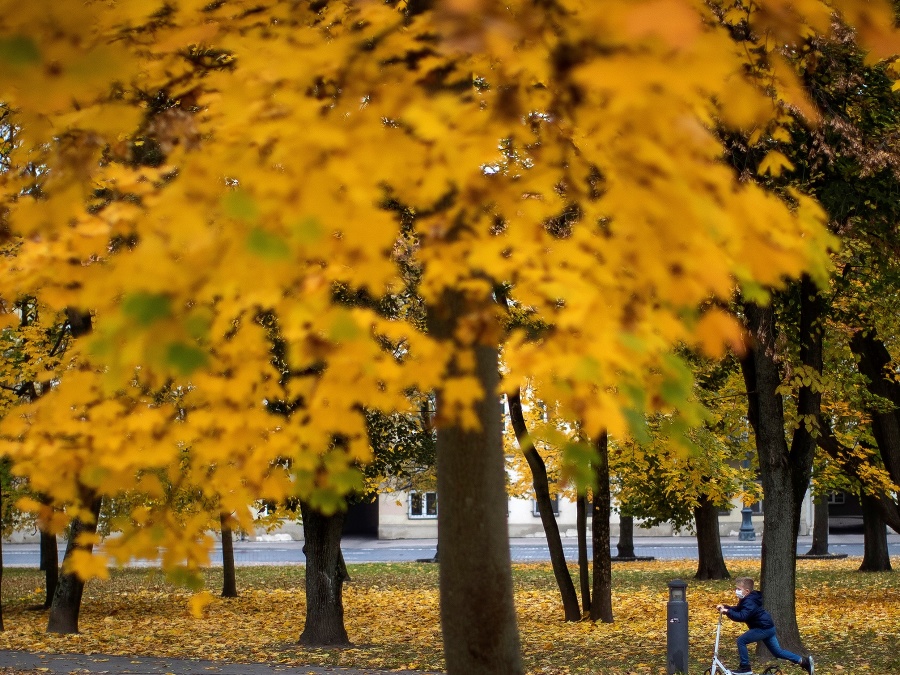  V zdravom tele zdravý duch