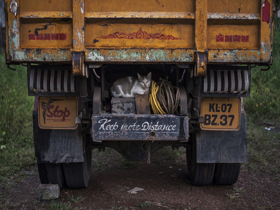 Na mňa pršať nebude! 