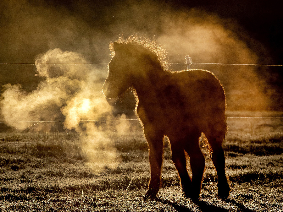 Kúpeľ v slnečných lúčoch
