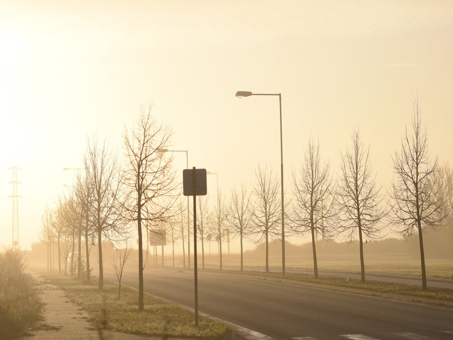 Jesenné hmlisté rána