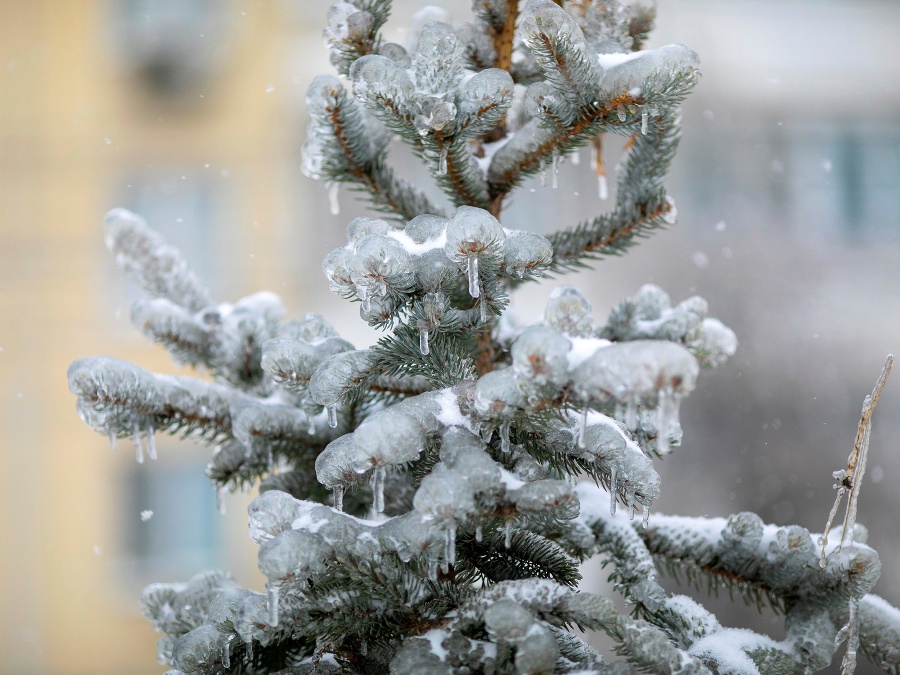 Príroda sa nahodila do biela